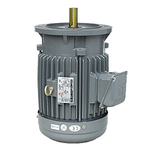 Low Voltage 3 Phase Motor