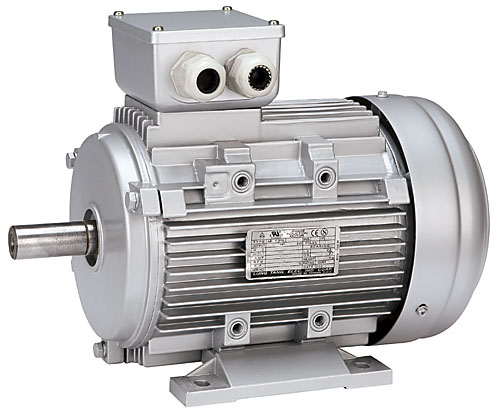 ALUMINUM EFF1 SERIES MOTOR