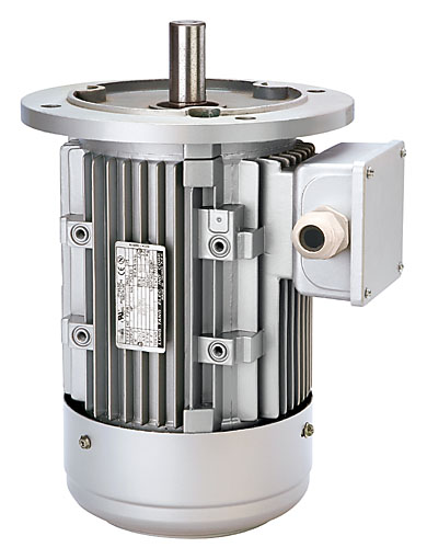 ALUMINUM EFF1 SERIES MOTOR